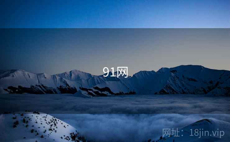 91网