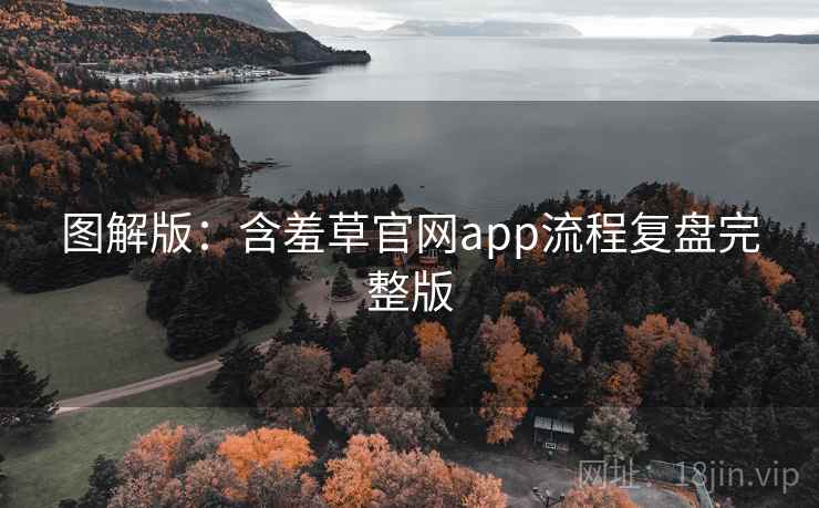 图解版：含羞草官网app流程复盘完整版